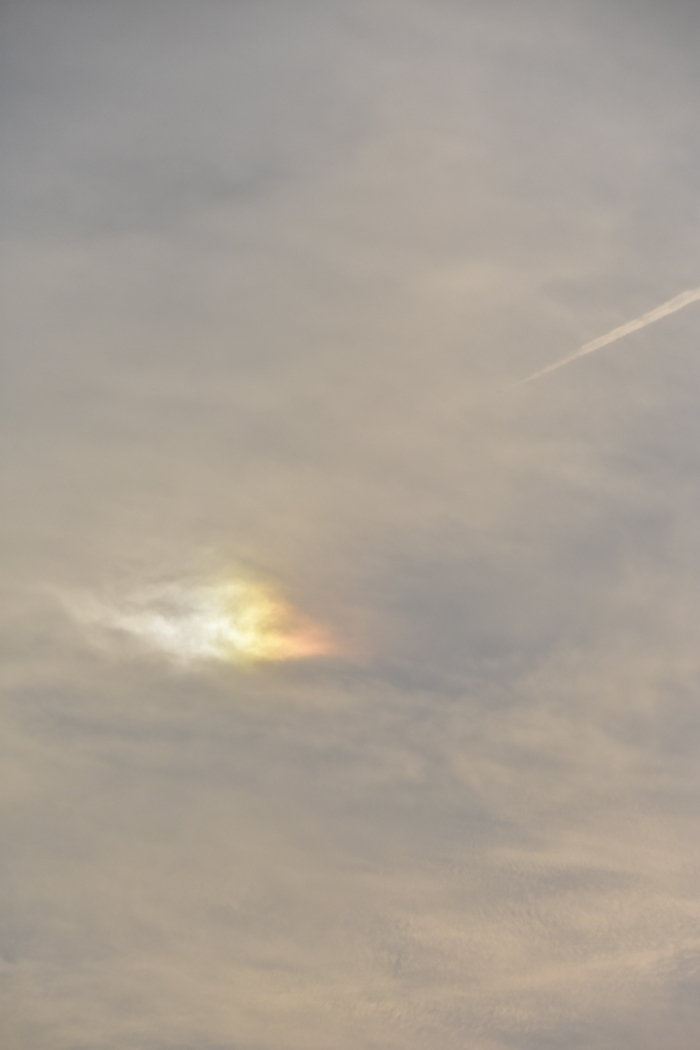 c0049299_23145775.jpg