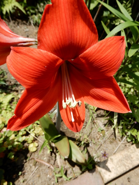 e0025300_20411527.jpg