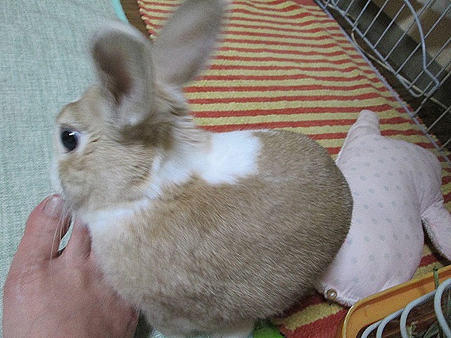b0030701_03125730.jpg