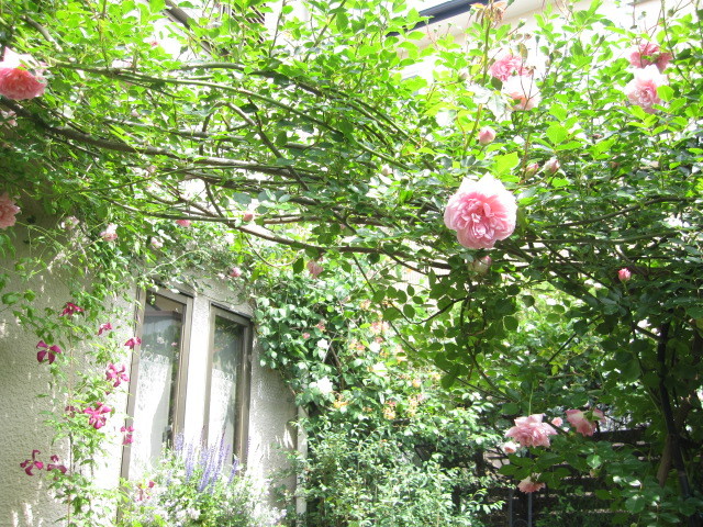 c0152002_10100474.jpg