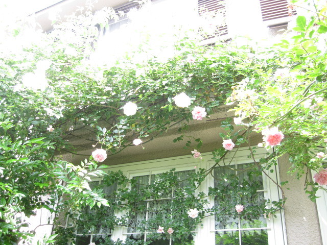 c0152002_10101605.jpg
