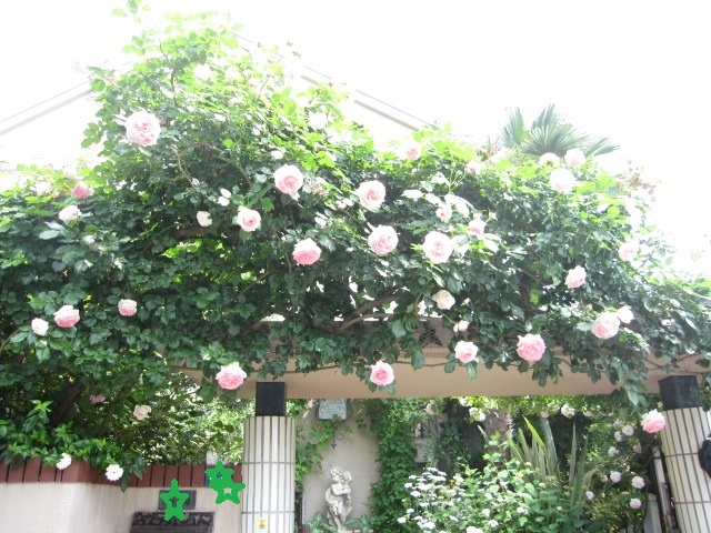 c0152002_10470786.jpg