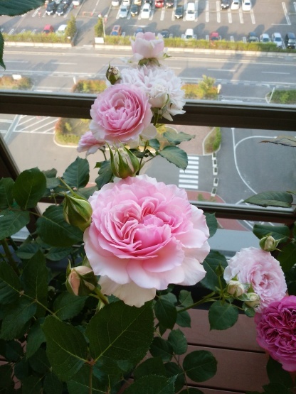 c0117007_20475626.jpg