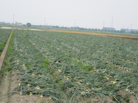 f0231709_21460918.jpg