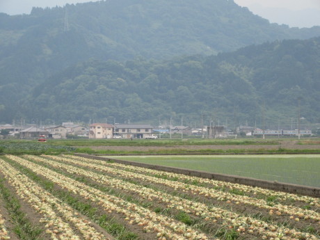 f0231709_21472303.jpg