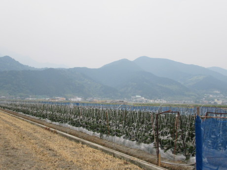 f0231709_21490225.jpg