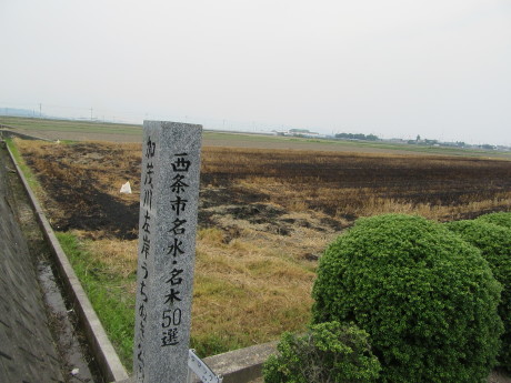 f0231709_21505606.jpg