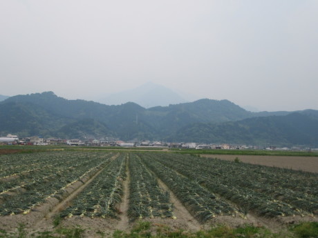 f0231709_22141715.jpg