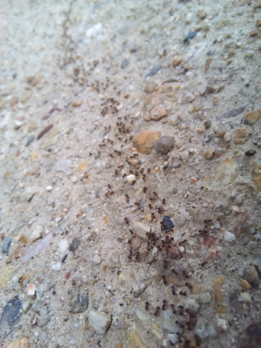 b0099910_18175582.jpg