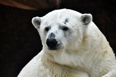 a0151913_184258100.jpg