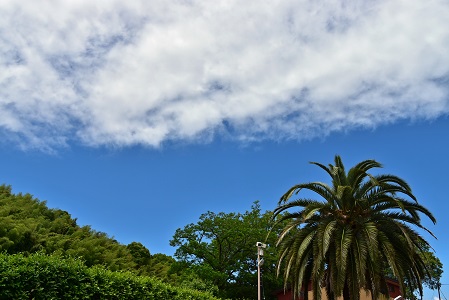 a0151913_1946717.jpg