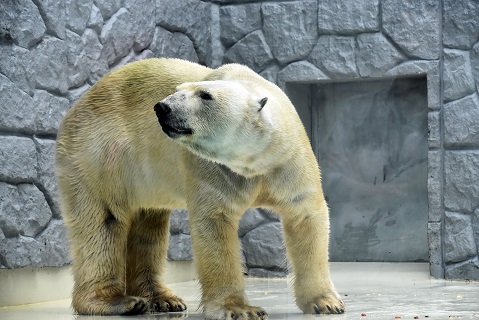 a0151913_2046854.jpg