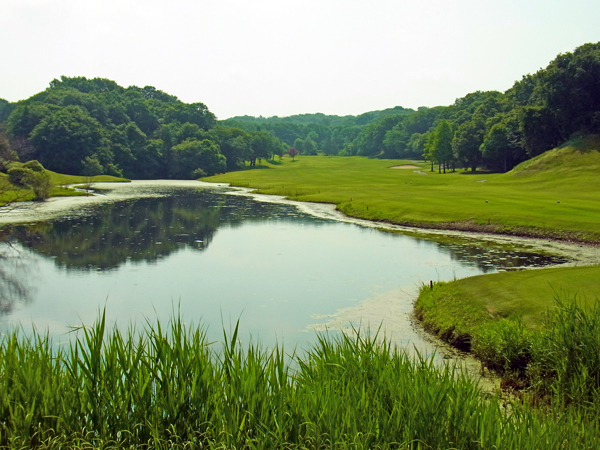 e0083517_20041267.jpg