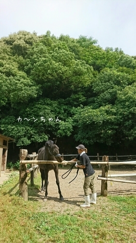b0187620_20414358.jpg