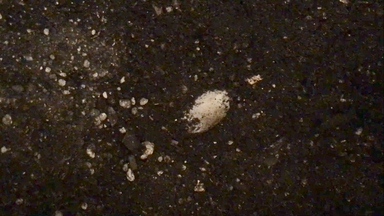 d0357222_12402749.png