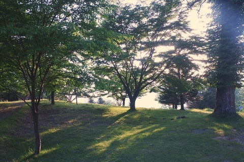 b0255623_23455081.jpg