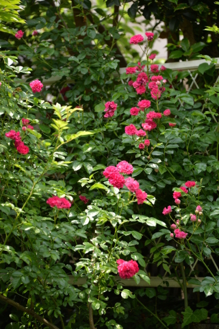 e0335926_00433760.jpg