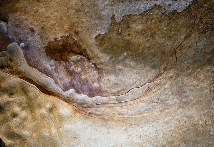 d0147530_12390555.jpg