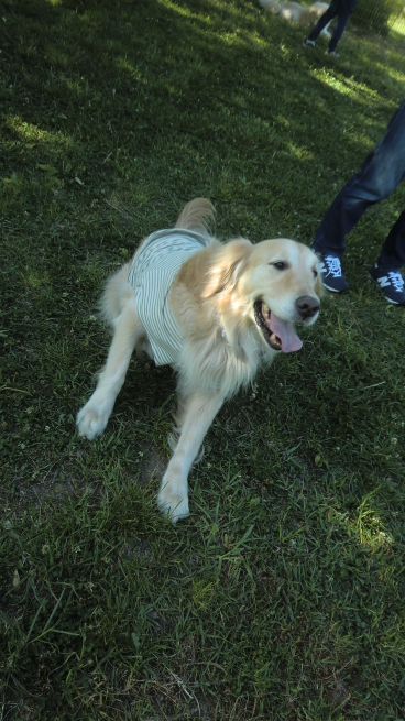 c0236632_09494483.jpg