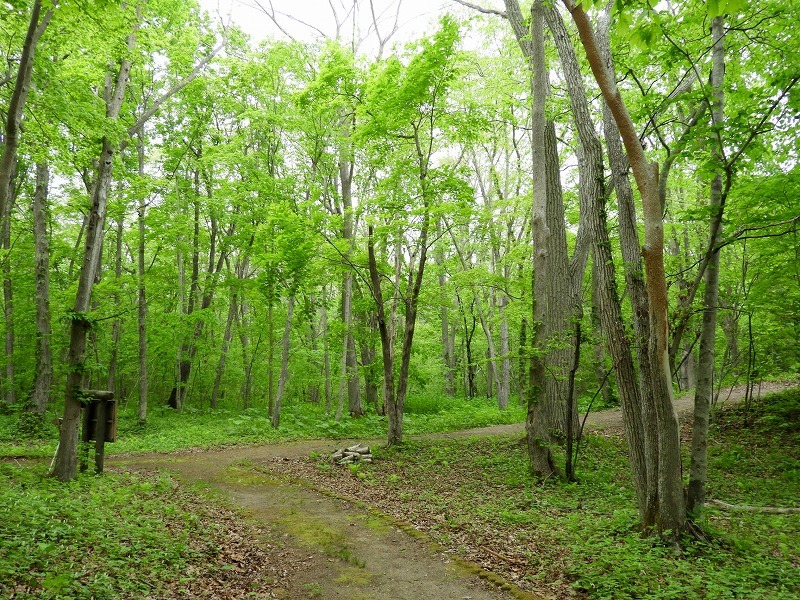 f0327034_08030800.jpg