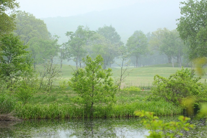 f0327034_08032669.jpg