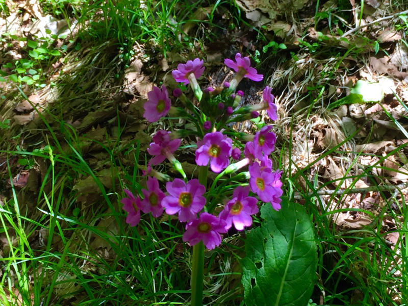 c0225536_20091417.jpg