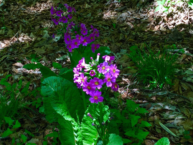 c0225536_20091464.jpg
