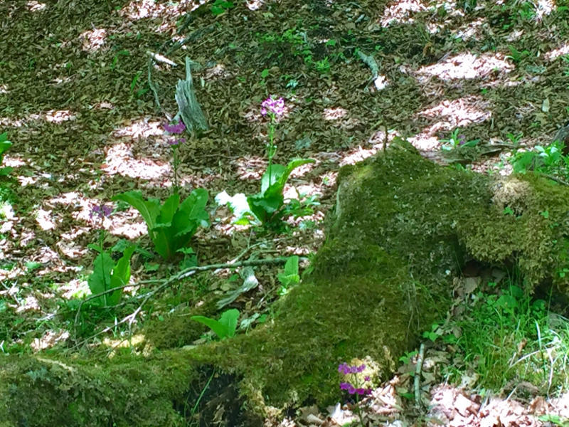 c0225536_20091680.jpg