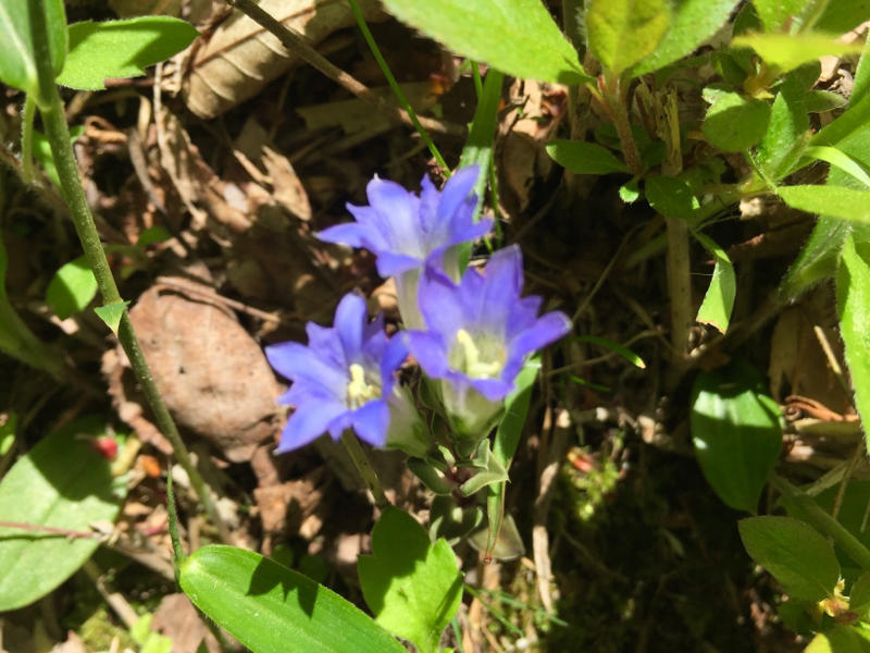 c0225536_20091705.jpg