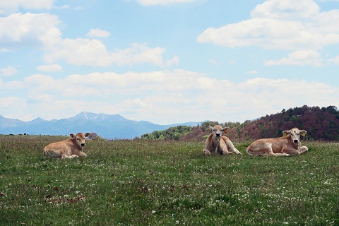 f0234936_5465237.jpg