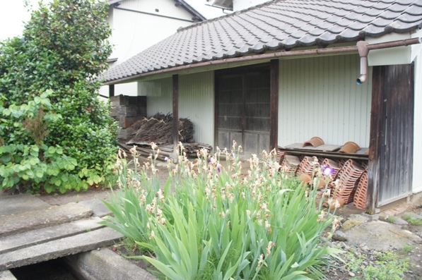 f0368538_07461444.jpg