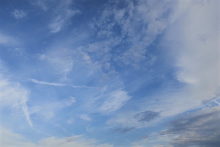 e0300042_17481800.jpg
