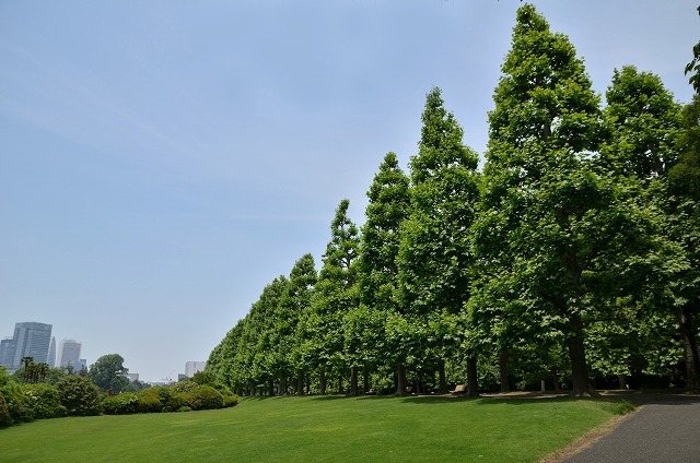 f0207943_11293686.jpg