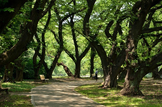 f0207943_11442472.jpg