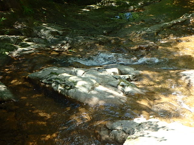 f0334143_20121767.jpg