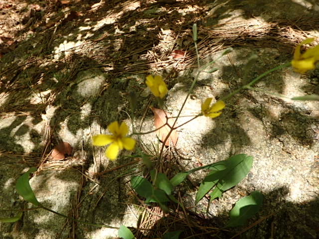 f0334143_2012328.jpg