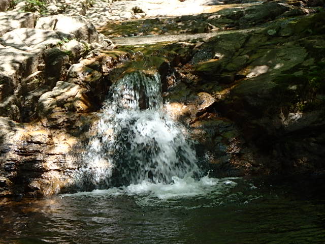 f0334143_20124653.jpg
