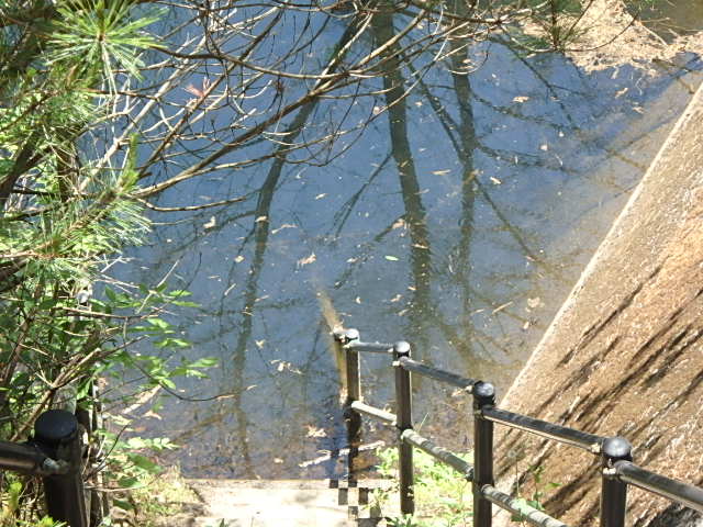 f0334143_20131052.jpg