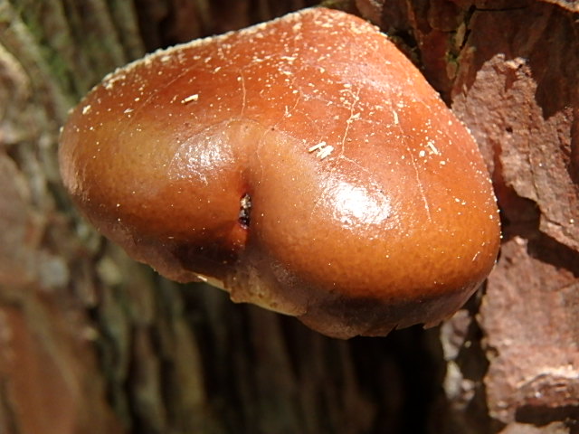 f0334143_20142325.jpg