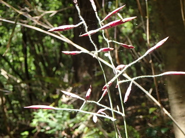 f0334143_20154259.jpg