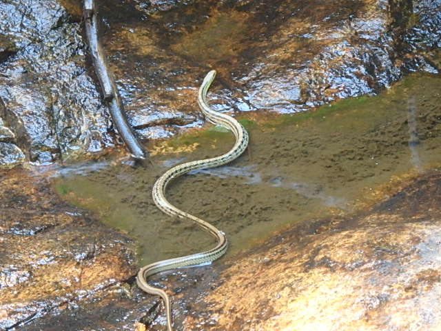 f0334143_20175973.jpg