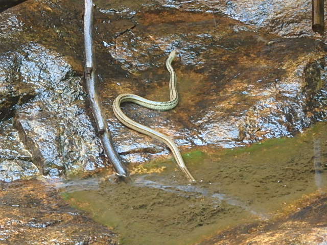 f0334143_20181972.jpg