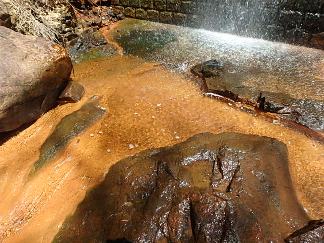 f0334143_2019489.jpg