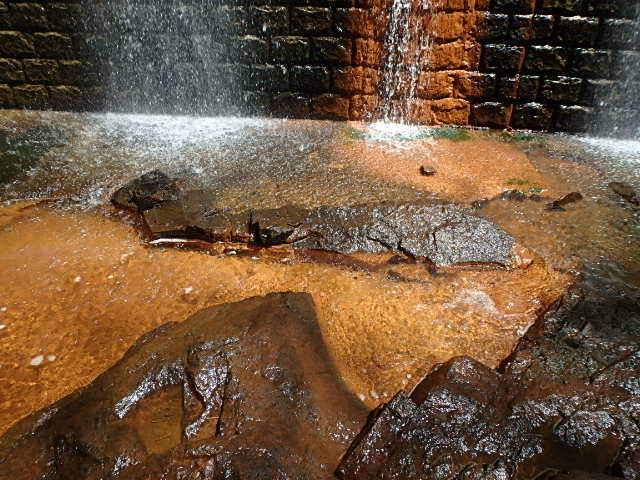 f0334143_2019988.jpg