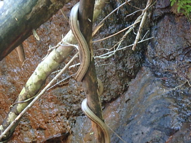 f0334143_20233779.jpg