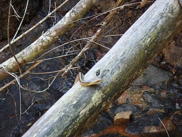 f0334143_2023527.jpg