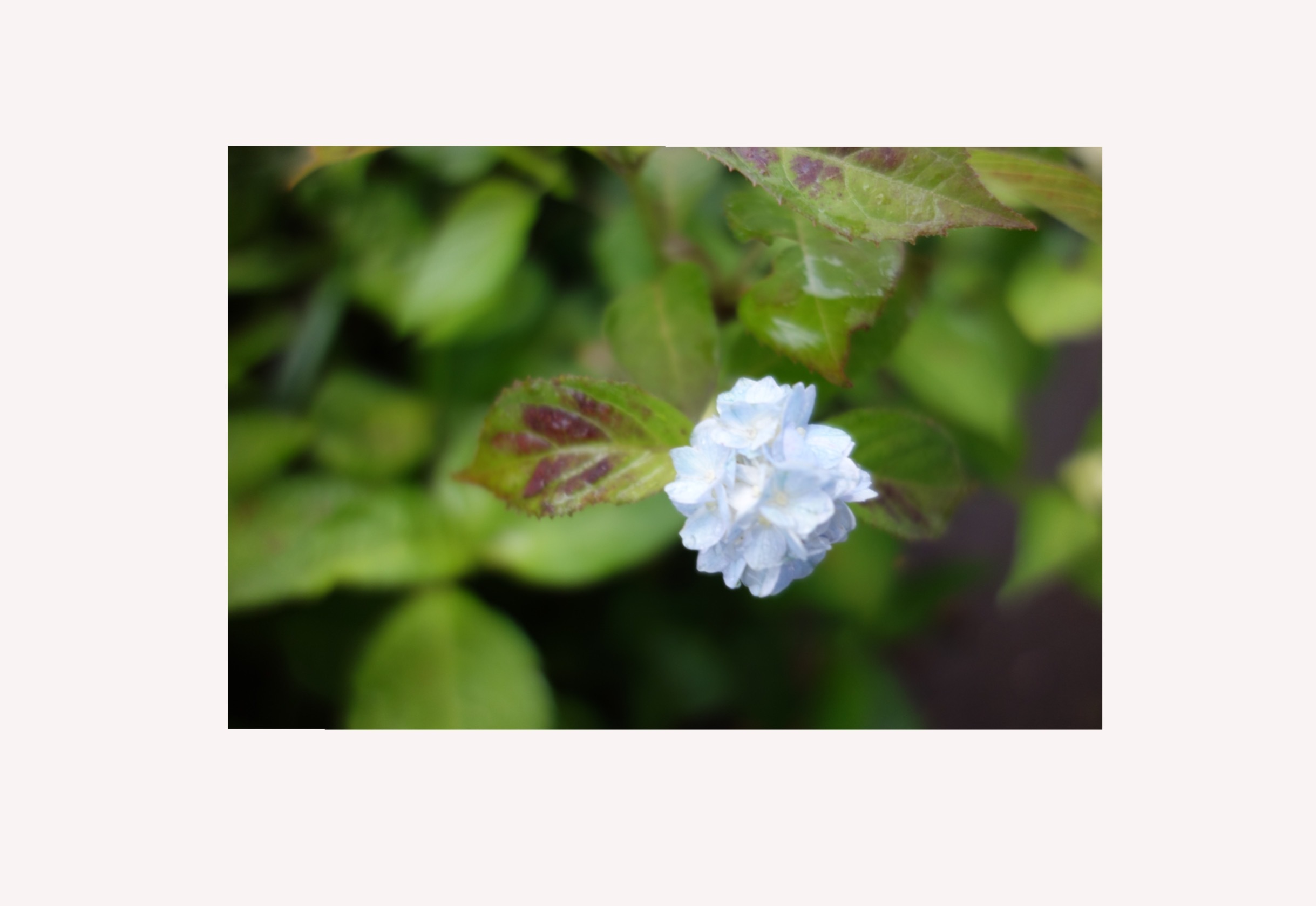 d0101846_06303081.png