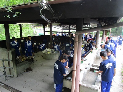 a0166454_20122568.jpg