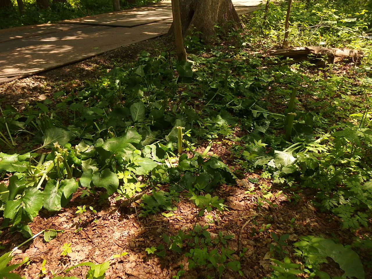 e0004756_22103170.jpg