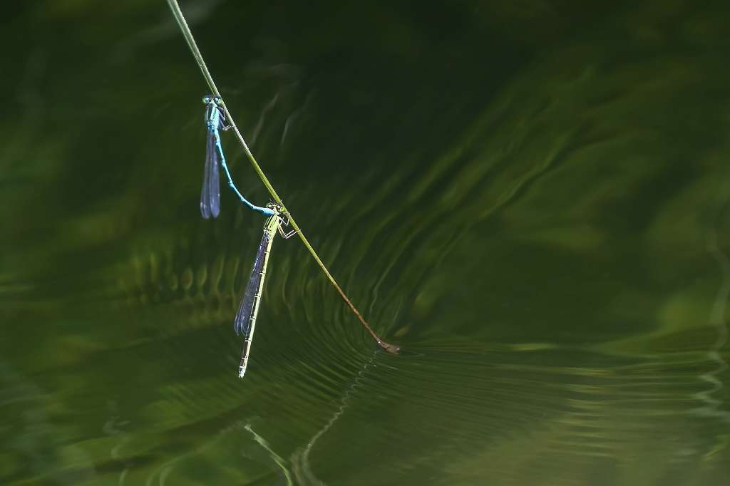 f0044056_06400214.jpg